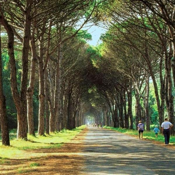 Casa Indipendente Pisa Villa Kültér fotó