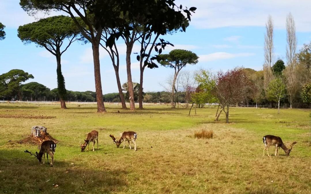 Casa Indipendente Pisa Villa Kültér fotó